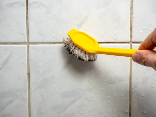 Best Certified Mold Removal  in Riverside, IA