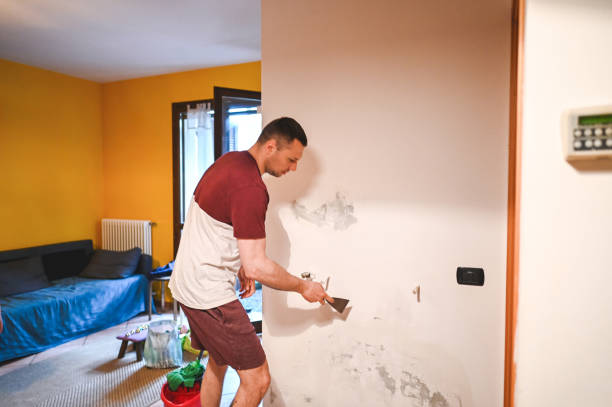 Best Water Damage Restoration  in Riverside, IA
