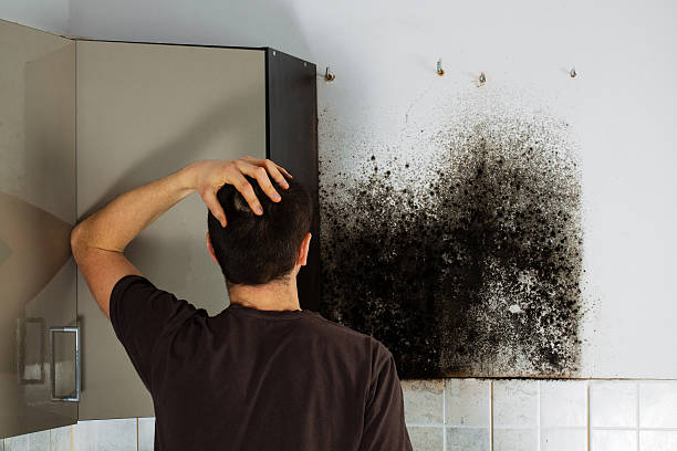 Best Crawl Space Mold Removal  in Riverside, IA